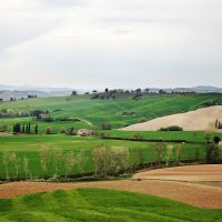 Toscana 10